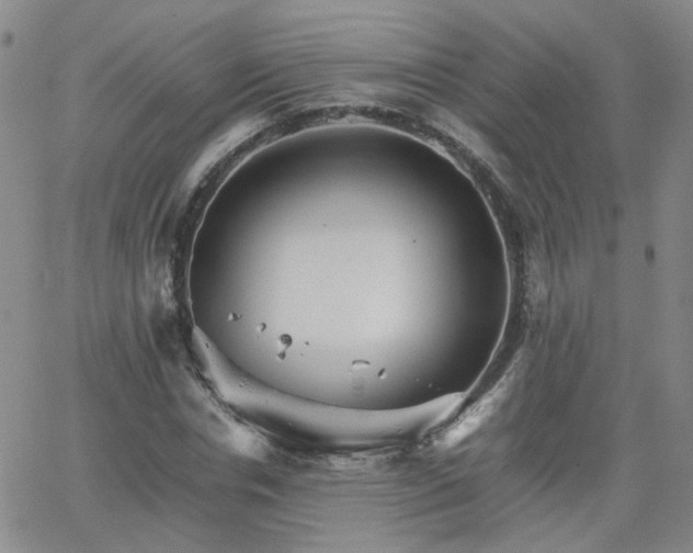 X0000066080826200603171028