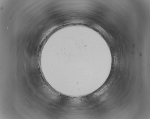 X0000066080828200603171028