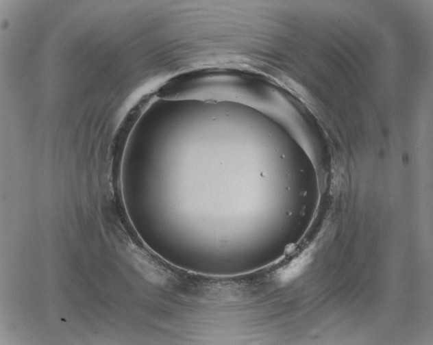 X0000066080830200603171028