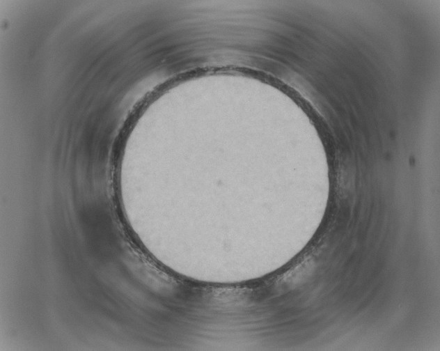 X0000066080832200603171028