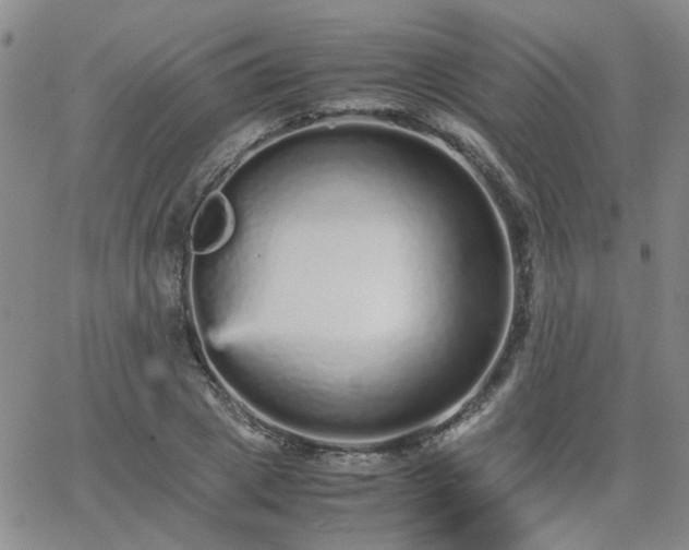 X0000066080833200603171028