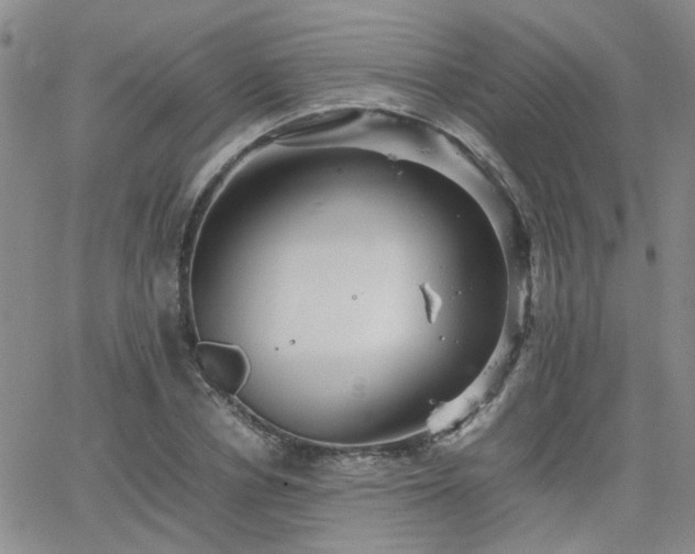 X0000066080834200603171028