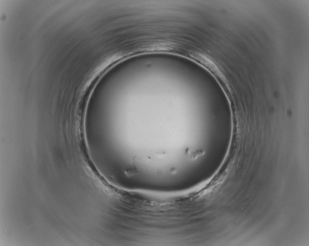 X0000066080835200603171028