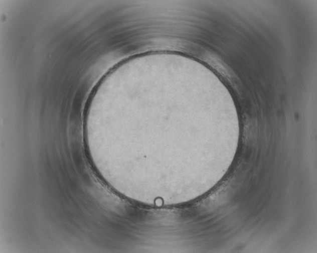 X0000066080836200603171028