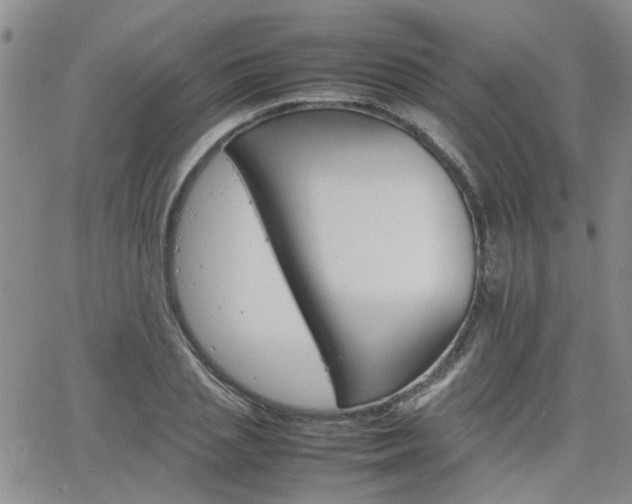 X0000066080837200603171028