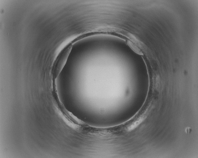 X0000066080838200603171028