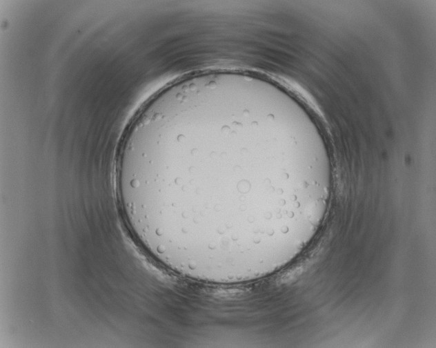 X0000066080839200603171028