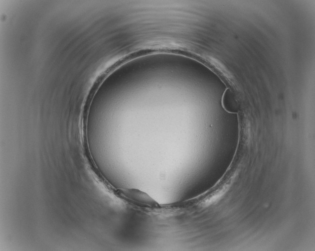 X0000066080840200603171028