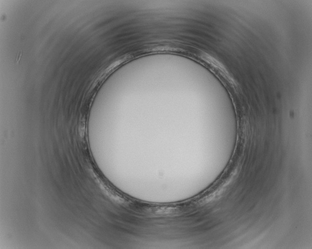 X0000066080841200603171028