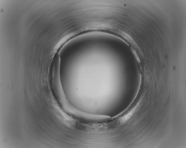 X0000066080842200603171028