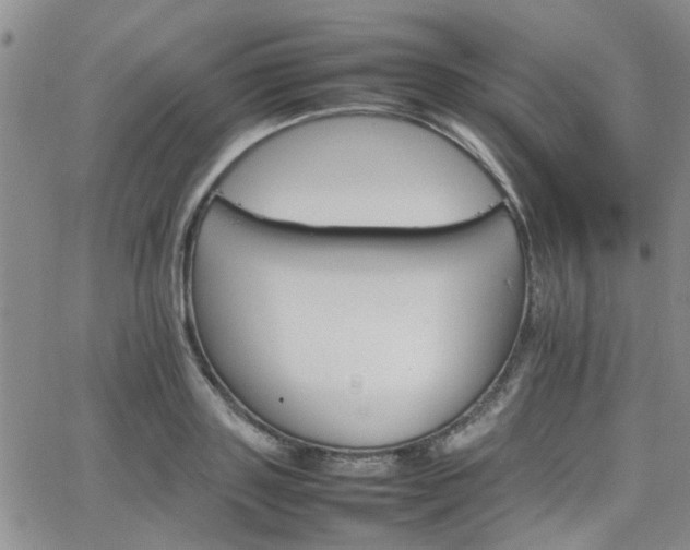 X0000066080843200603171028