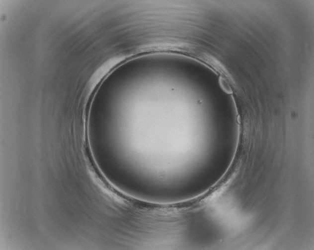 X0000066080844200603171028