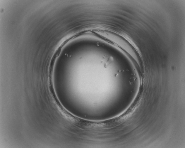 X0000066080845200603171028