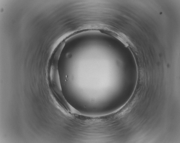 X0000066080846200603171028