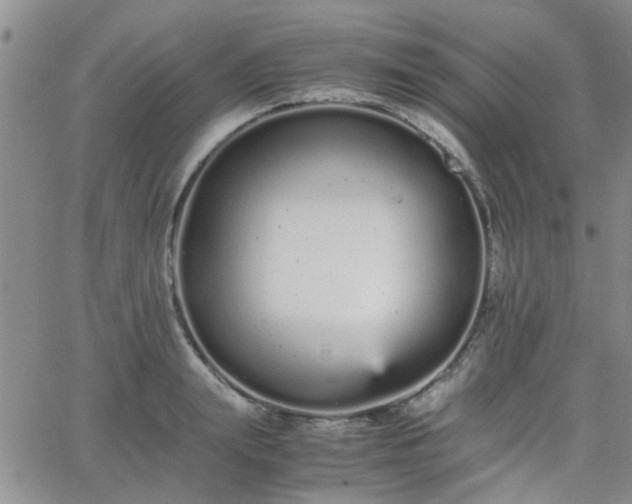 X0000066080847200603171028