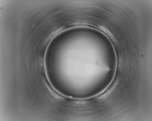 X0000066080849200603171028