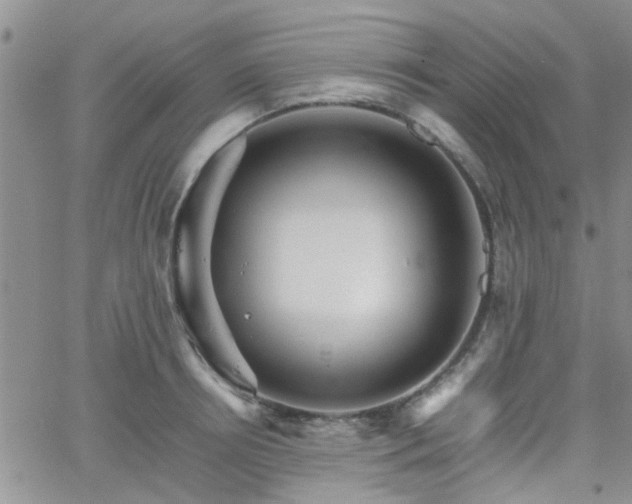 X0000066080850200603171028