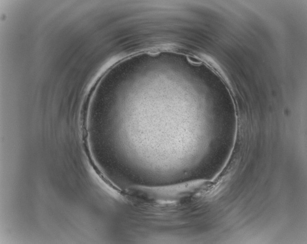 X0000066080851200603171028