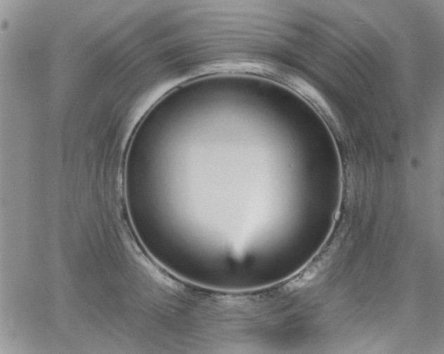 X0000066080852200603171028