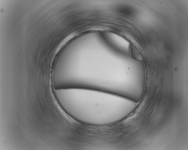 X0000066080853200603171028