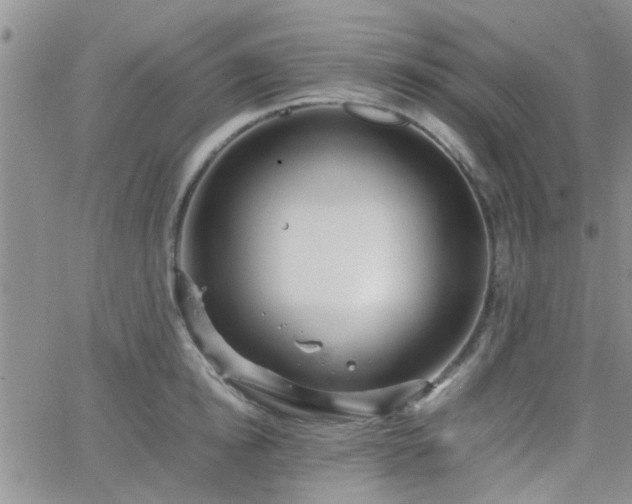 X0000066080854200603171028