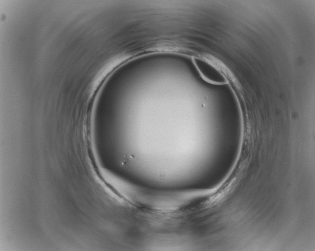 X0000066080855200603171028