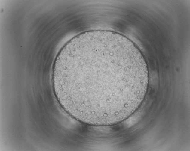 X0000066080856200603171028