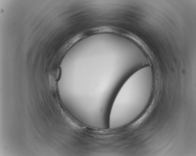 X0000066080857200603171029