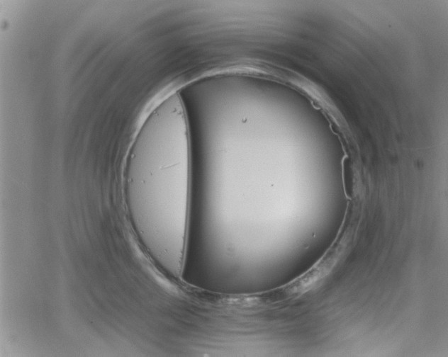 X0000066080858200603171029