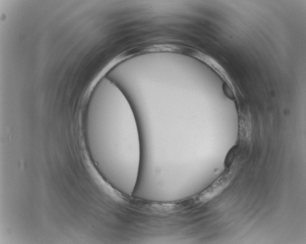 X0000066080859200603171029