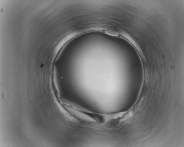 X0000066080861200603171029