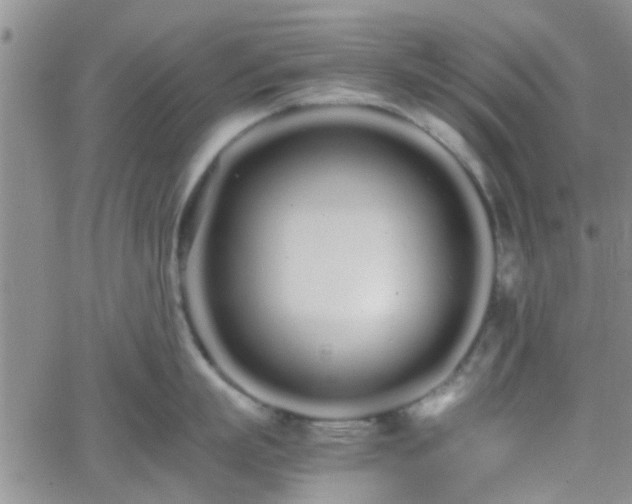 X0000066080863200603171029