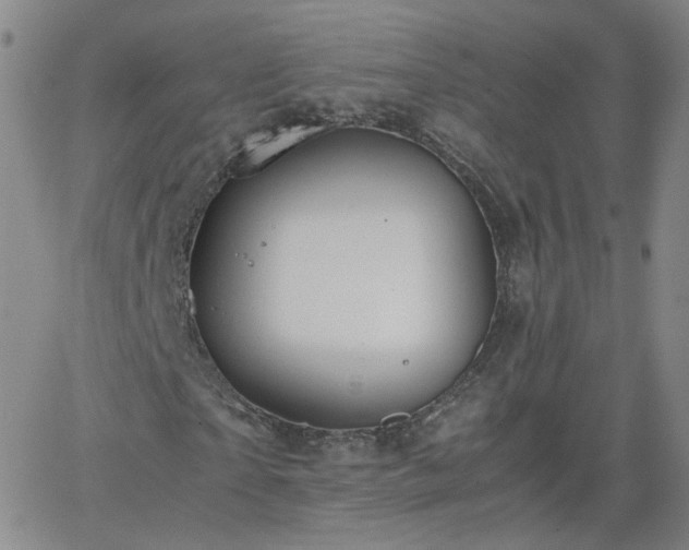 X0000066080865200603171028