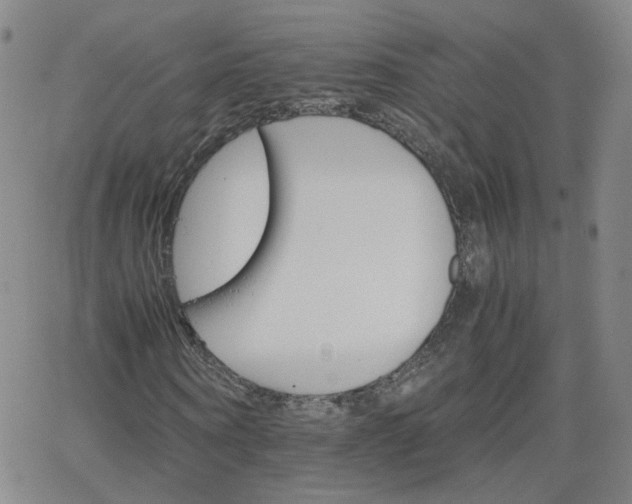 X0000066080866200603171028