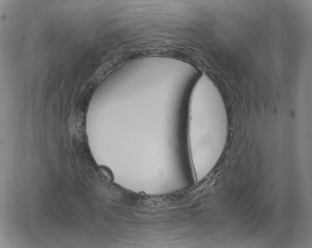 X0000066080867200603171028