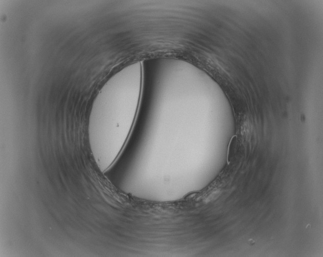 X0000066080868200603171028