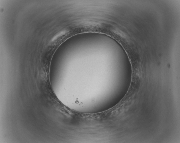 X0000066080869200603171028