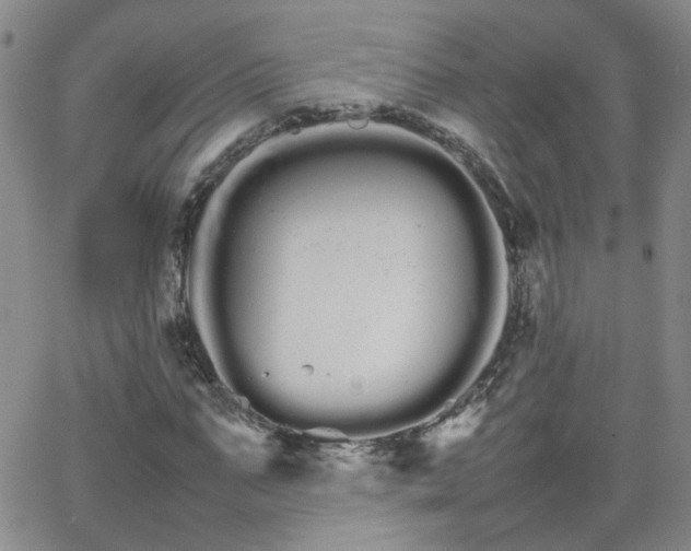 X0000066080871200603171028