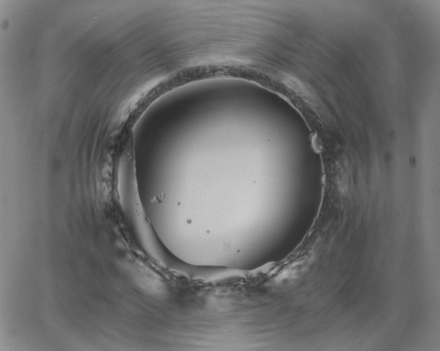 X0000066080872200603171028