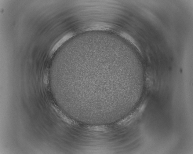 X0000066080874200603171028