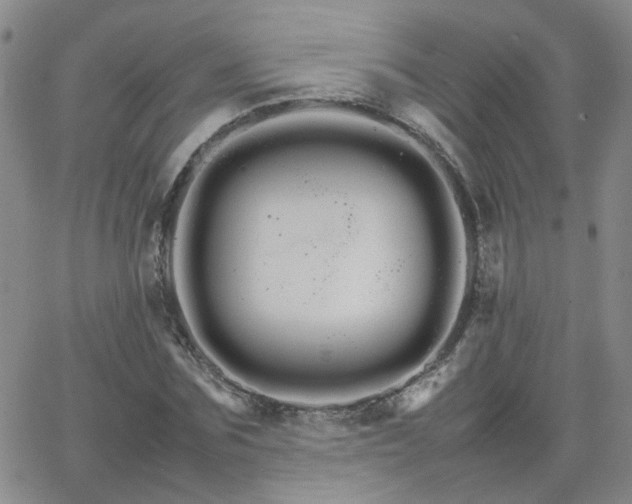 X0000066080875200603171028