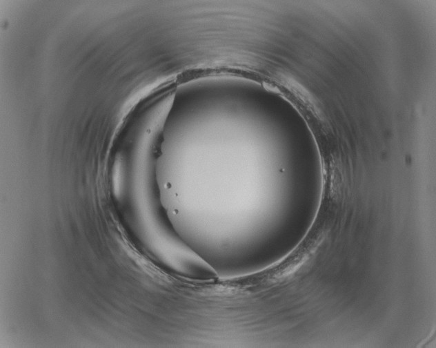 X0000066080876200603171028