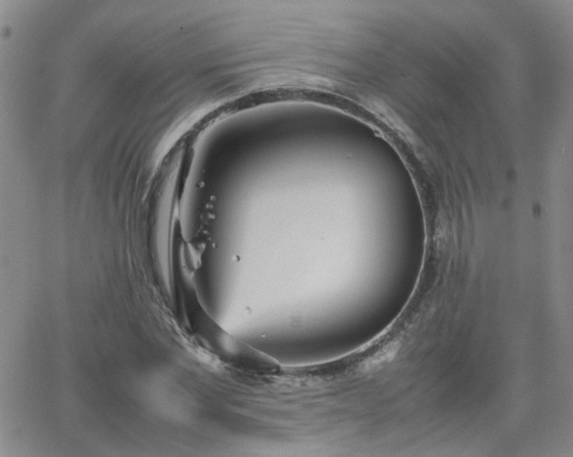 X0000066080877200603171028