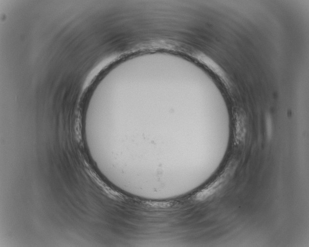 X0000066080878200603171028