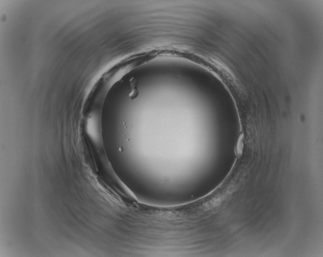 X0000066080880200603171028