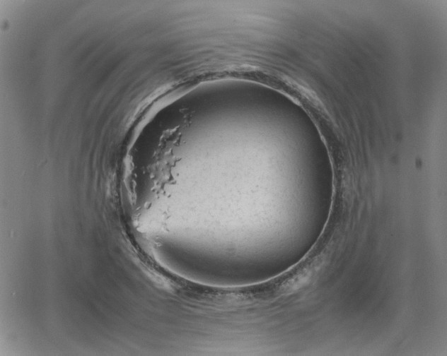 X0000066080881200603171028