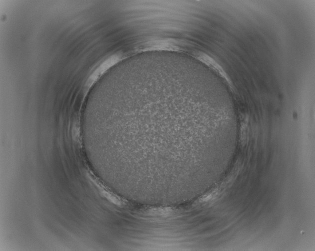 X0000066080882200603171028