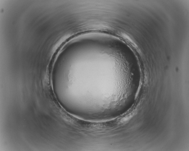 X0000066080883200603171028