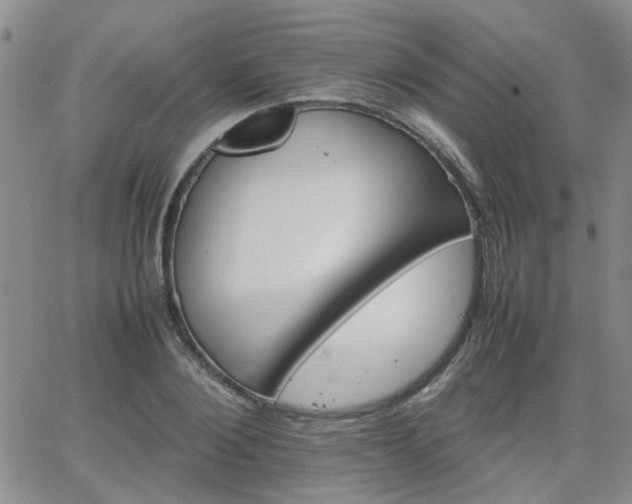 X0000066080884200603171028