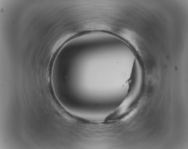 X0000066080885200603171028